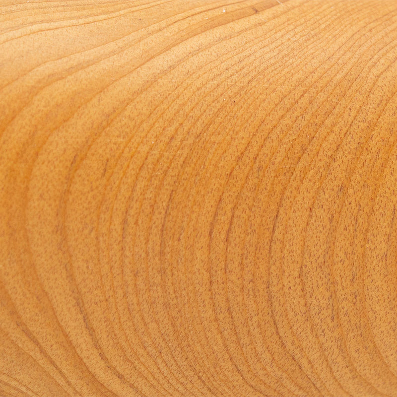 Gold Cypress