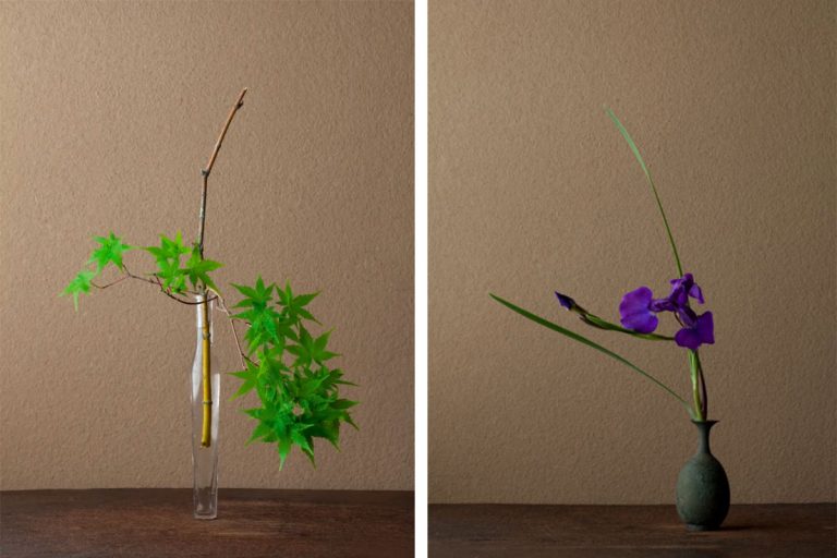 Ikebana See the Universe in a Single Flower Magnifissance