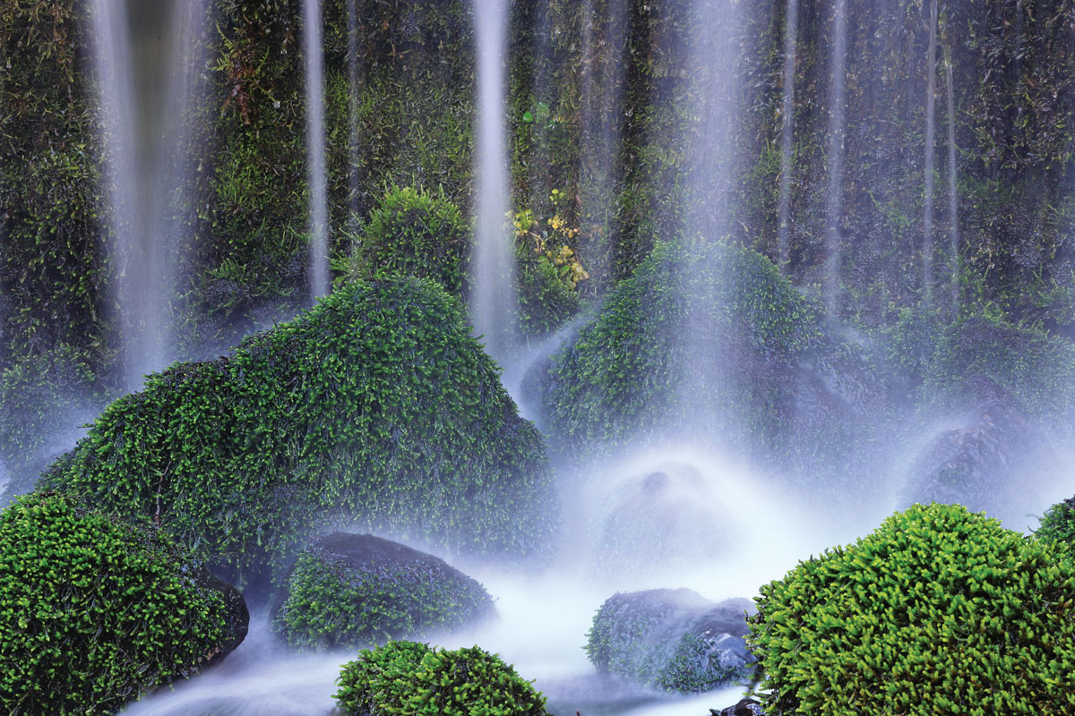 Forest bathing - The Karuizawa Shiraito Falls in Nagano Prefecture