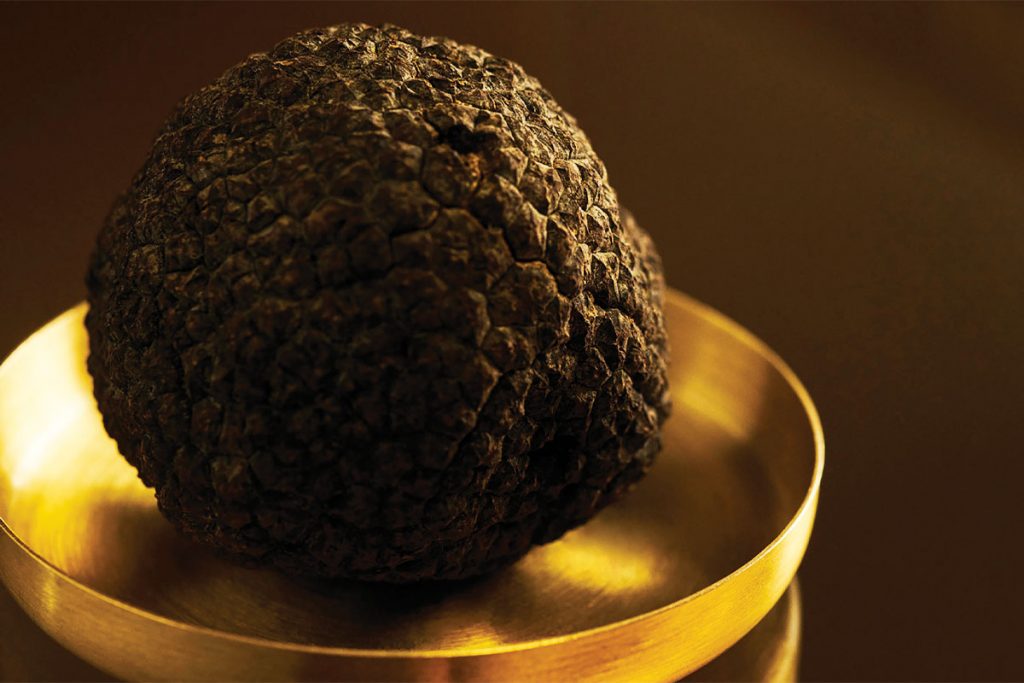 is estee lauder water based