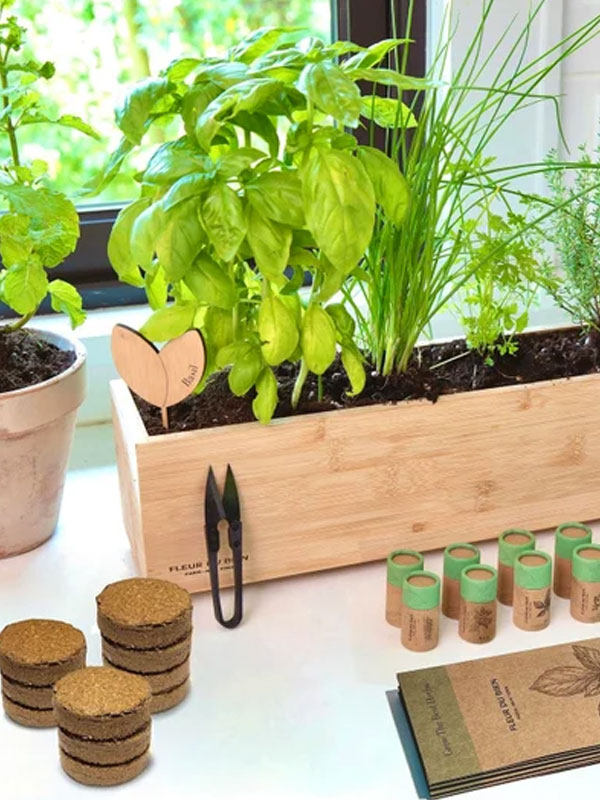 A grow-it-yourself herb garden to keep things fresh