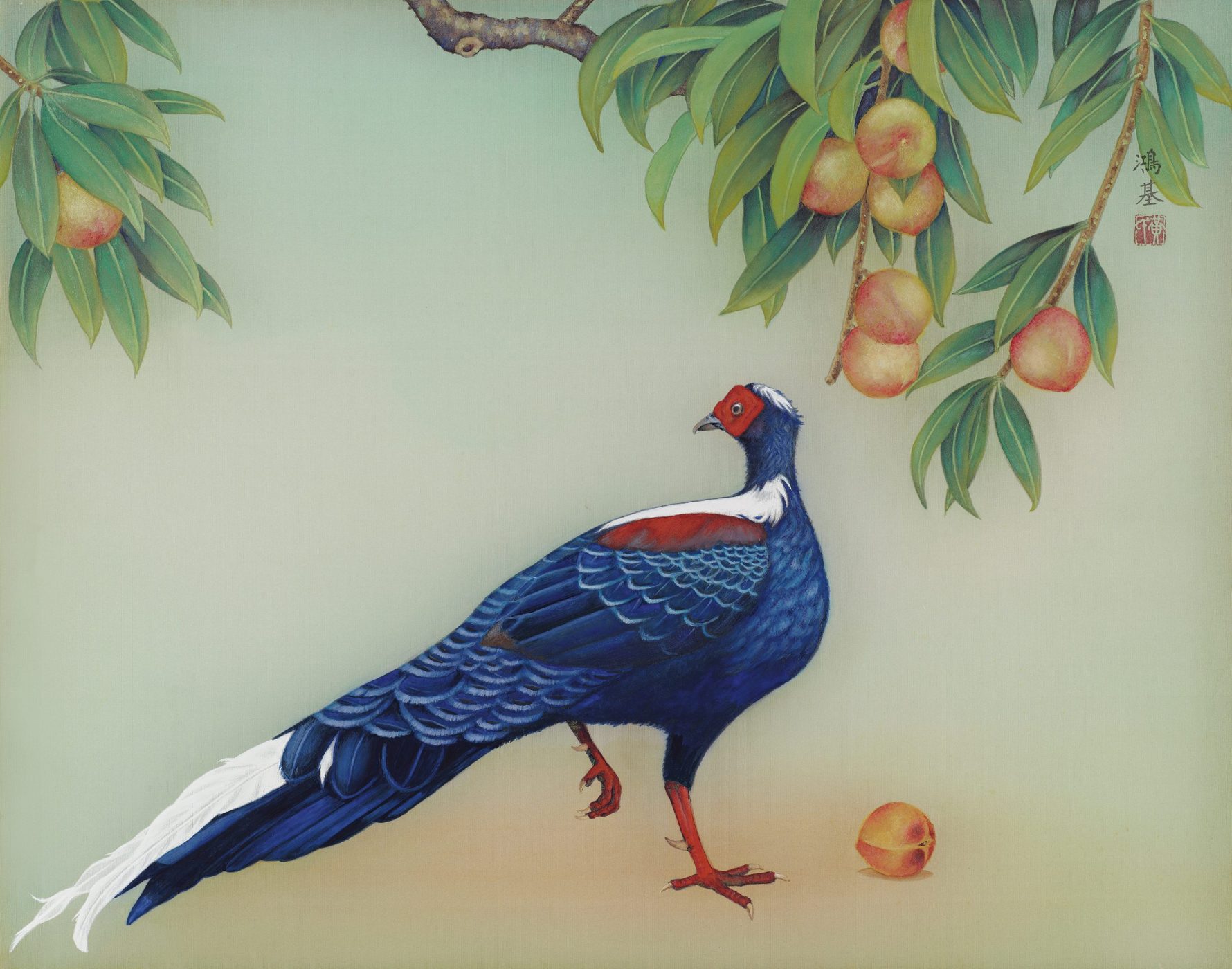 Amazing Bird Paintings By Distemper Artist