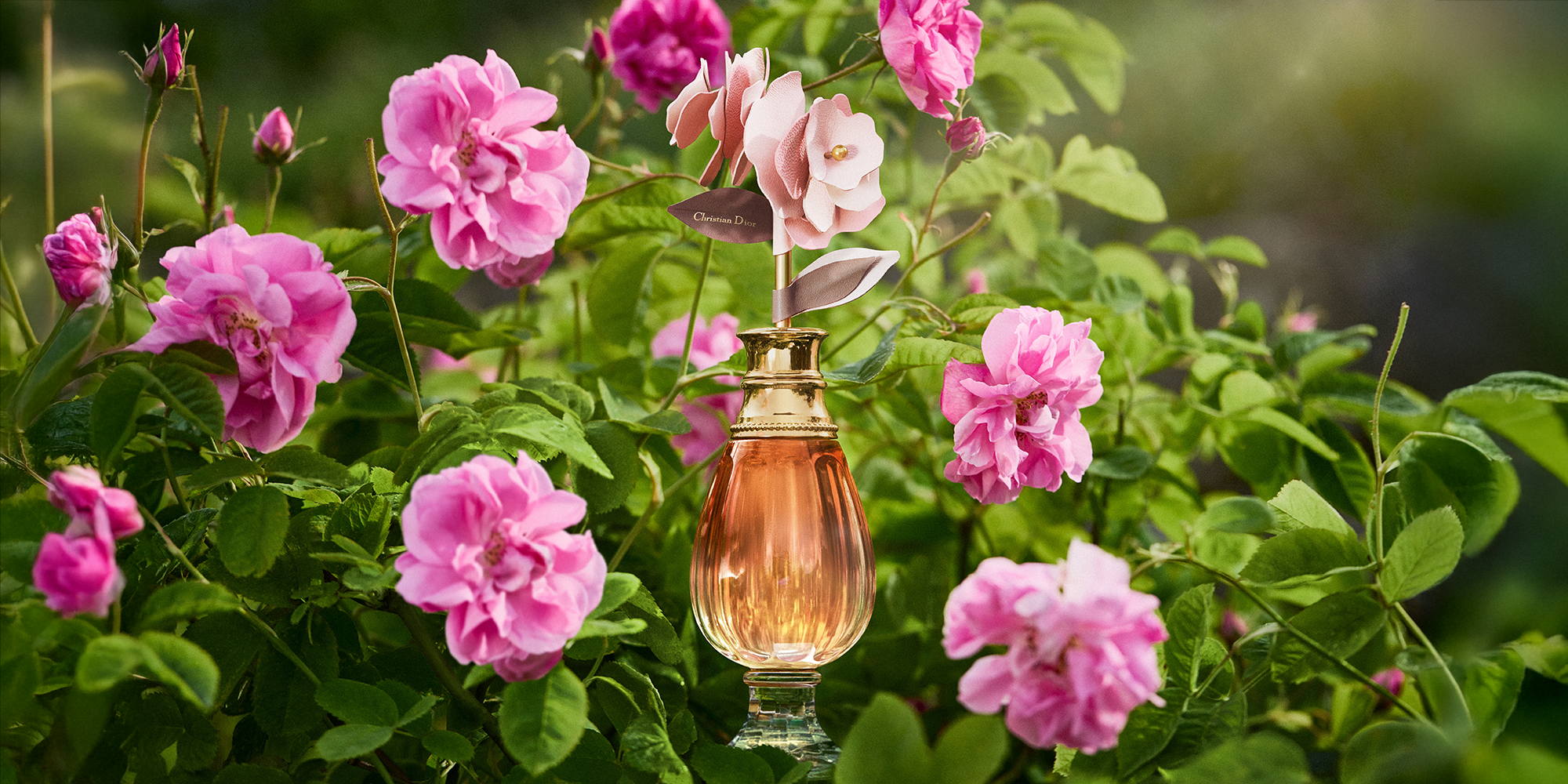 Dior Perfume 2026: Why Dior's Newest Bottles are Instant Collectibles