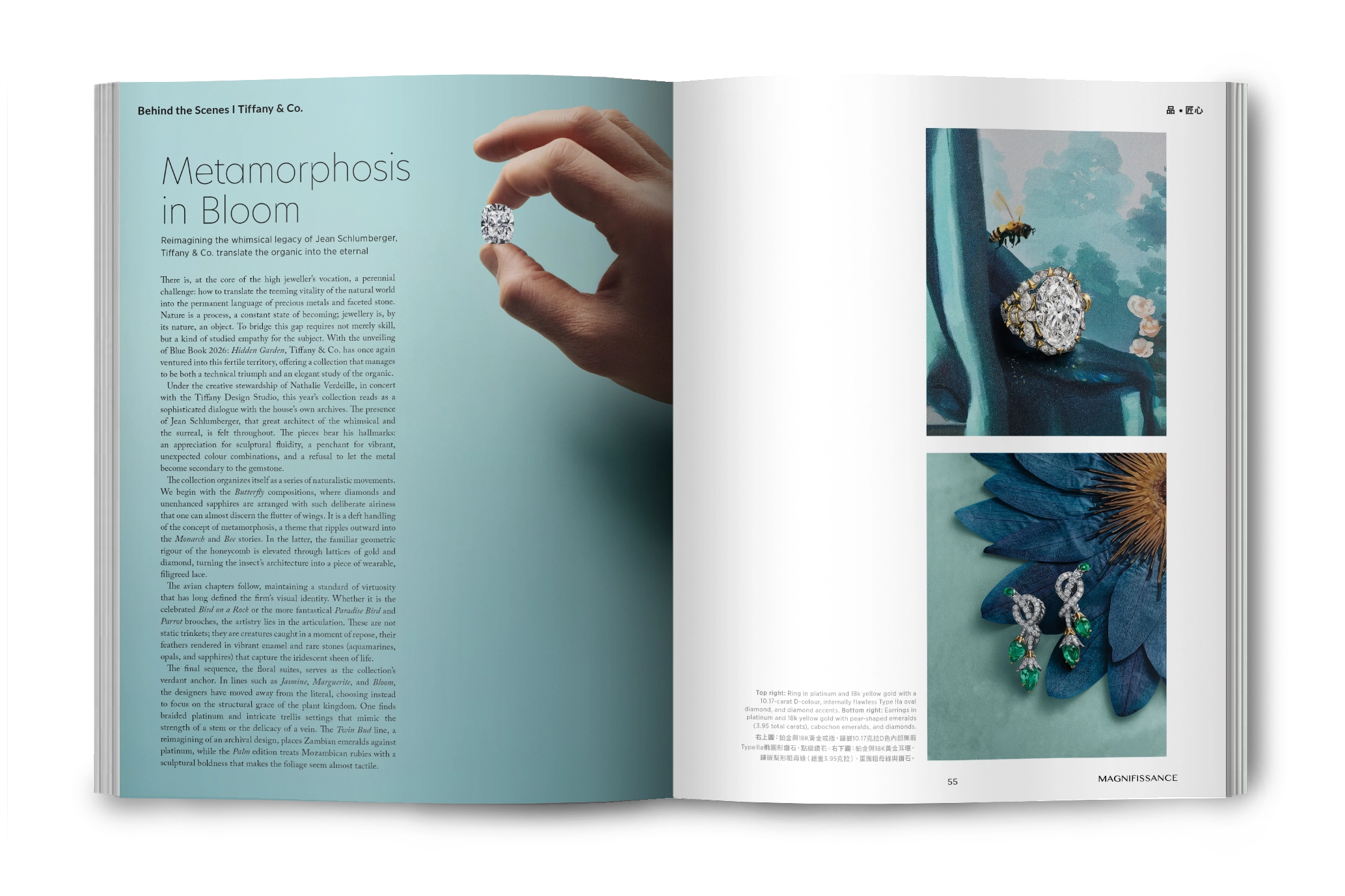 magazine-issue133