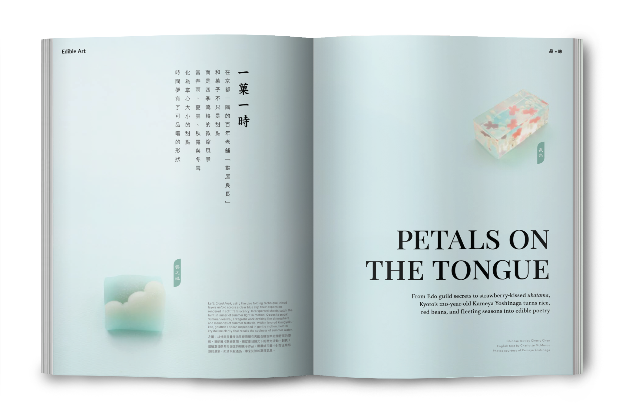 magazine-issue133