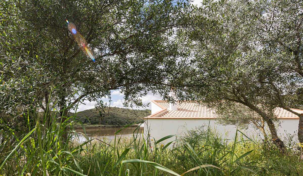 Sustainable Luxury Home 4
